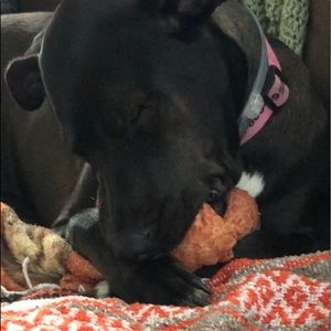 Meet your Posher, Ivette